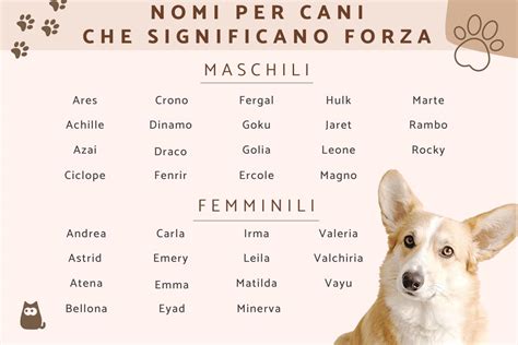 nome cani femmina corti